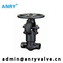Forged Steel Gate Valve 800LBS F304 F316 SW BW NPT  2 Inch